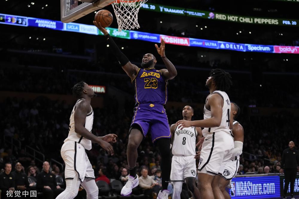 的多样性 的多样性