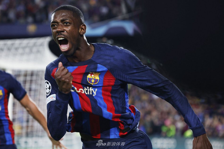 球迷的惊呼 球迷的惊呼